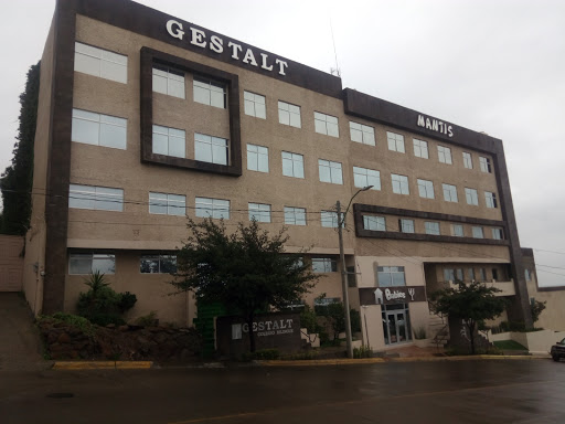 COLEGIO GESTALT A.C.