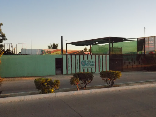 CENTRO EDUCATIVO LA QUINTA FLOR