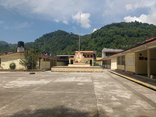 Esc. Sec. Tec. Agrop. Num. 54