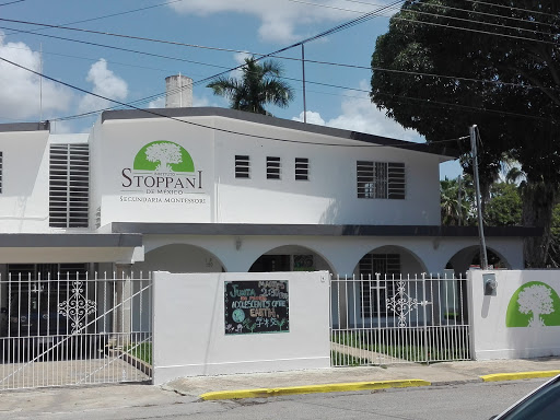 Instituto Stoppani de Mexico