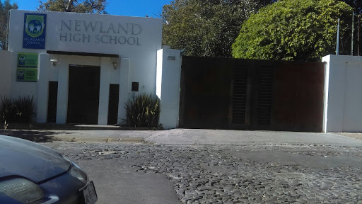 Colegio | Newland School