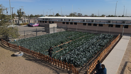 Colegio Geronimo Usera