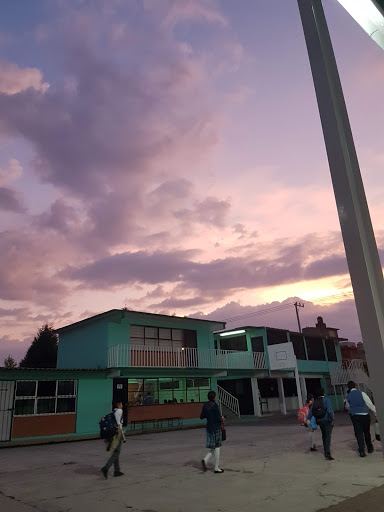 Escuela Primaria Profesor Telesforo Roldan Yáñez