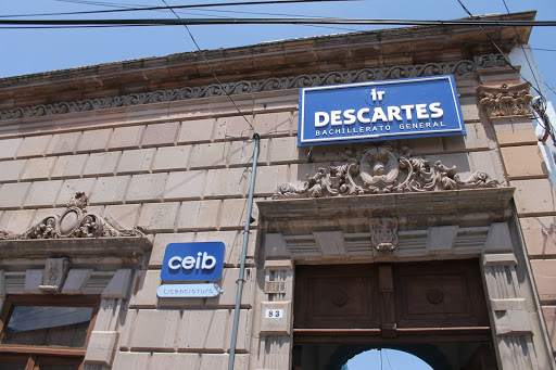Instituto Reneé Descartes