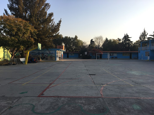 ESCUELA PRIMARIA OFICIAL IGNACIO MANUEL ALTAMIRANO en Chalco de Díaz Covarrubias