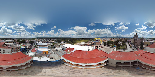 Colegio Cultura Y Restauracion en Tlaltenango de Sánchez Román Municipality