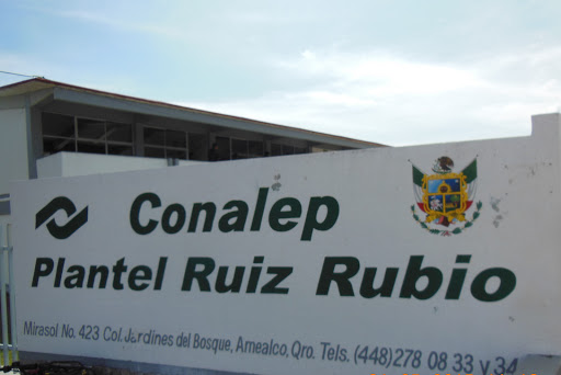 CONALEP Amealco en Amealco de Bonfil