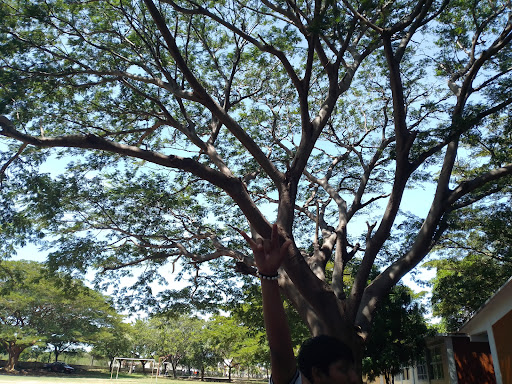 Escuela Secundaria