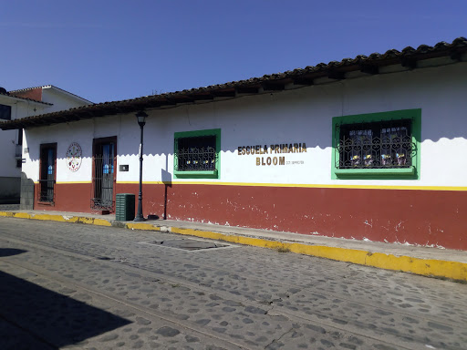 Escuela Primaria Bloom en Xico