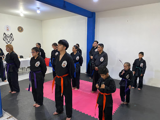 Defensa Personal La Ultima Defensa Itzli Axapusco en Axapusco
