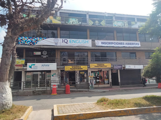 IQ English Apan en Apan