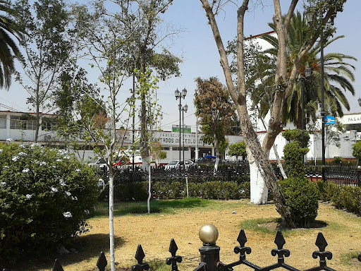 Escuela Primaria Tratados de Teoloyucan en Teoloyucan