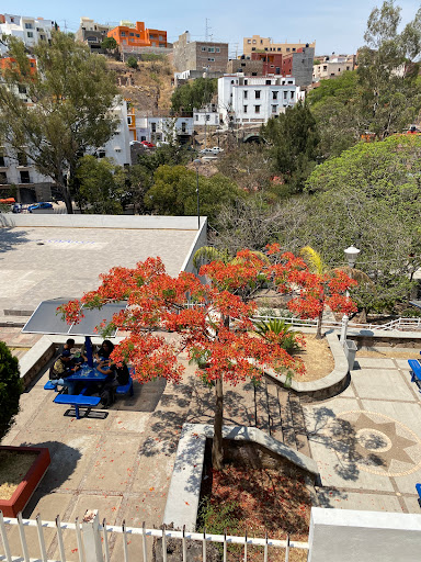 Escuela de Nivel Medio Superior Guanajuato en Guanajuato