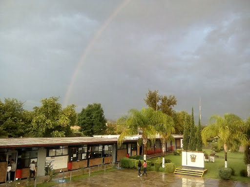 University of Guadalajara en San Martín de Hidalgo