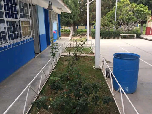 Primaria Beatriz Alicia Gutierrez Romo en Rincón de Romos
