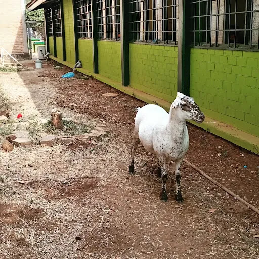 Escuela Secundaria Francisco Javier Sauza en Tequila