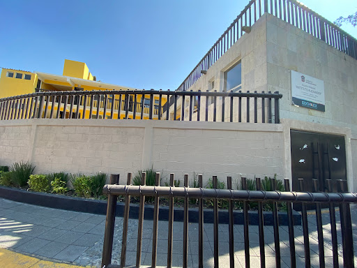 Escuela Primaria Instituto Alexander en Ciudad López Mateos