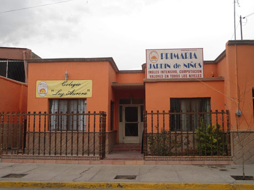 Instituto Luz Aurora en Lerdo
