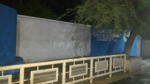 Ignacio Manuel Altamirano en Ciudad Altamirano