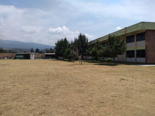 CBTA PLANTEL ATLAUTLA en Atlautla