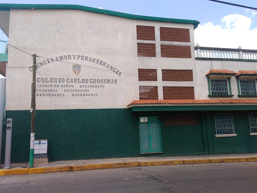 Colegio Carlos Grossman en Acayucan
