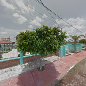 escuela prim.5 DE MAYO en Zapotlanejo