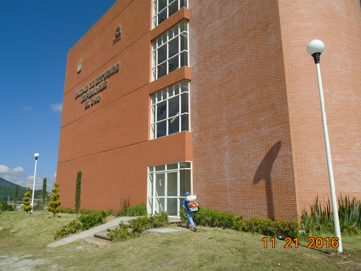Higher Studies, El Oro en El Oro de Hidalgo
