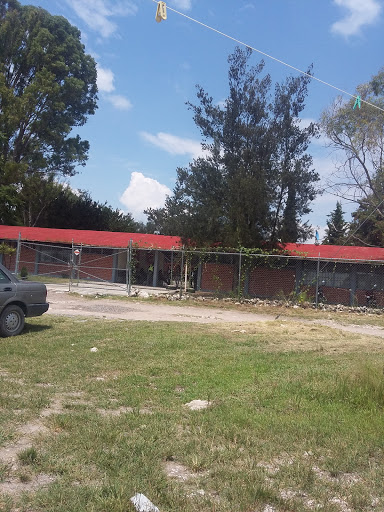 Colegio de Estudios Científicos y Tecnológicos del Estado de Jalisco en San Juan de los Lagos