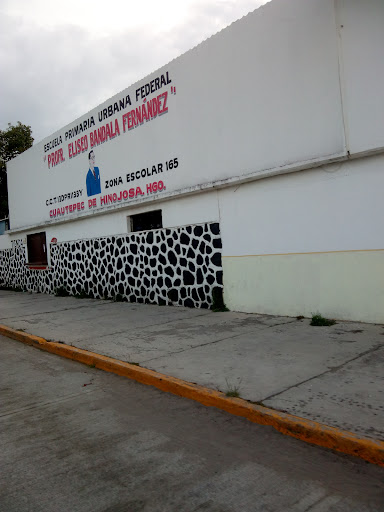escuela profr. eliseo bandala en Cuautepec de Hinojosa