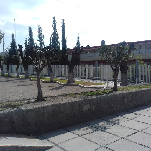 Secundaria Tecnica