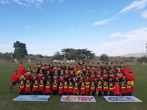 CID Leones Negros UdeG Tala en Tala