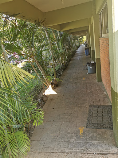 Official high school N.192 en Luvianos