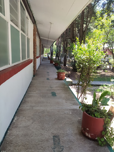 Normal School San Felipe del Progreso en San Felipe del Progreso